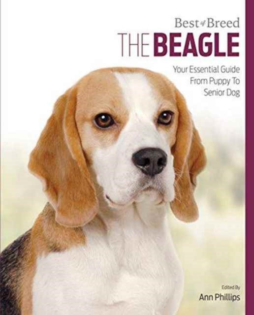 Book cover of: Beagle