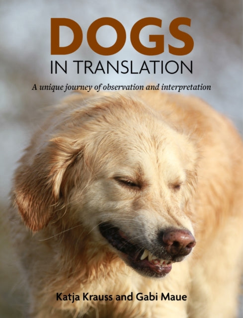 Book cover of: Dogs In Translation