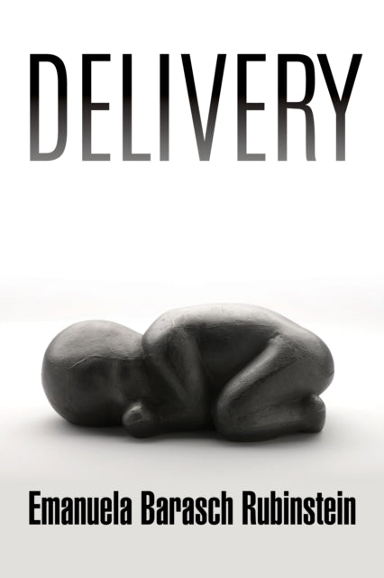 Book cover of: Delivery. By: Emanuela Barasch Rubinstein