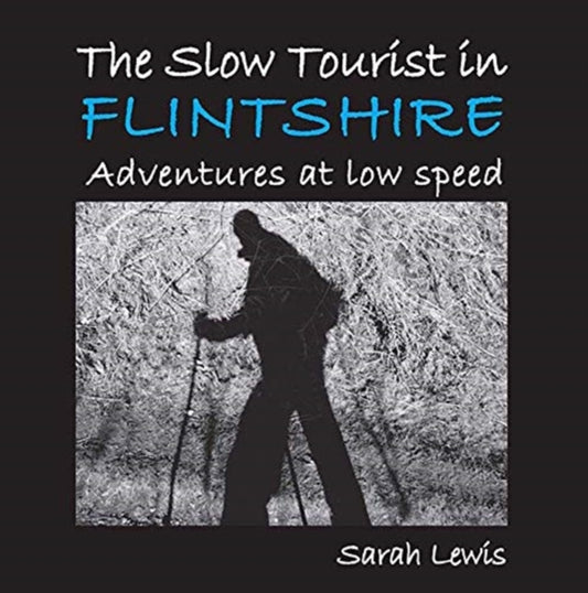Book cover of: Slow Tourist in Flintshir