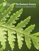 Book cover of: Benmore Fernery. By: Anne STEVENSON