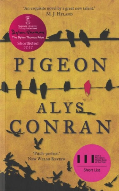 Book cover of: Pigeon. By: Alys Conran