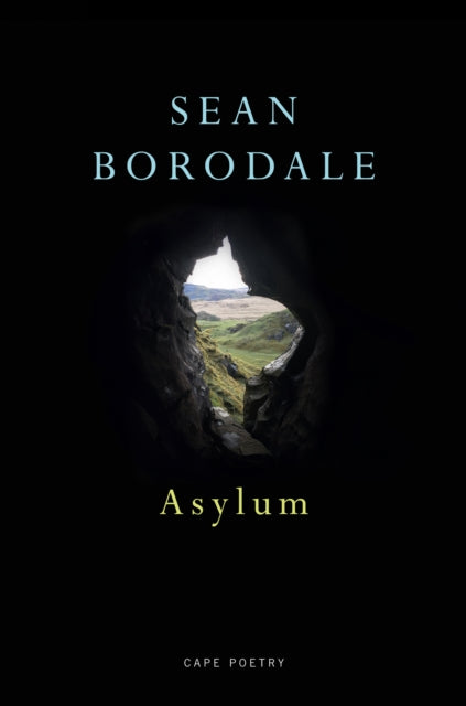 Book cover of: Asylum. By: Sean Borodale