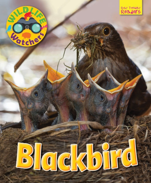 Book cover of: Wildlife Watchers: Blackbird. By: Ruth Owen