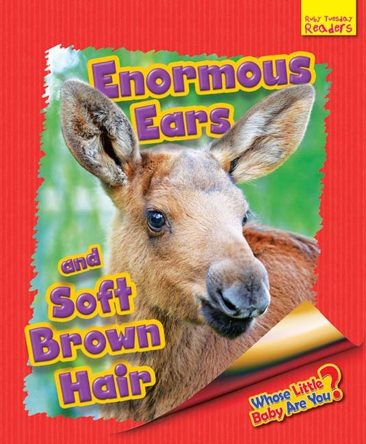 Book cover of: Whose Little Baby Are You? Enormous Ears and Soft Brown Hair