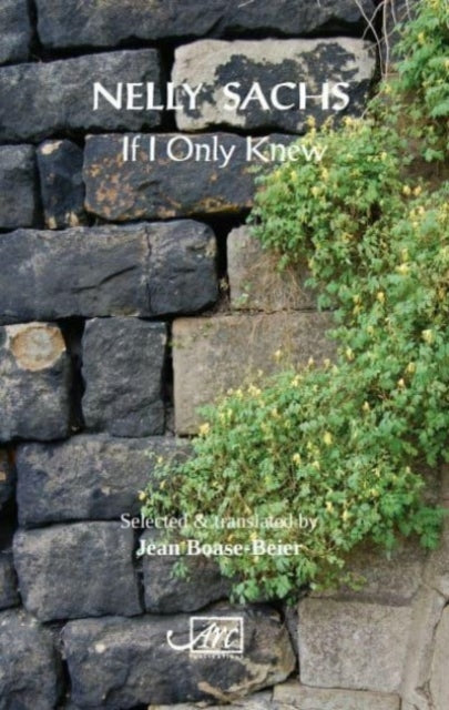 Book cover of: If I Only Knew