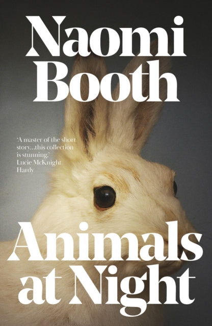 Book cover of: Animals at Night. By: BOOTH