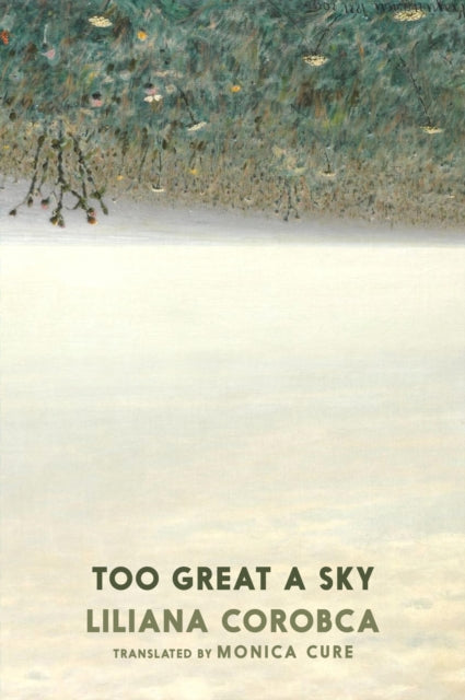 Book cover of: Too Great A Sky. By: Liliana Corobca