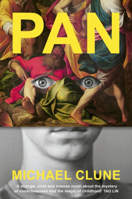 Book cover of: Pan