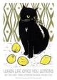 Book cover of: WHEN LIFE GIVES YOU LEMONS