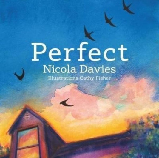 Book cover of: Perfect. By: Nicola Davies