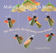 Book cover of: Making Peg Dolls and More. By: Margaret Bloom