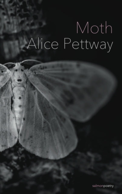 Book cover of: Moth. By: Alice Pettway