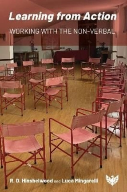 Book cover of: Learning from Action. By: Mingarelli HINSHELWOOD