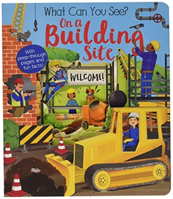 Book cover of: What Can You See On a Building Site?