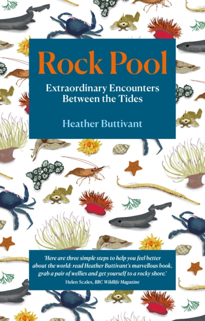 Book cover of: Rock Pool. By: Heather Buttivant
