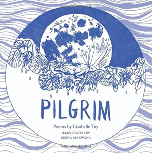 Book cover of: Pilgrim. By: TAY