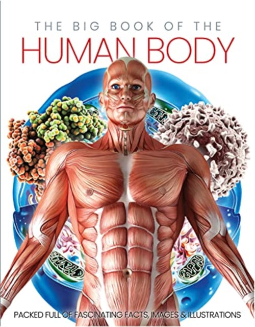 Book cover of: Big Book of the Human body. By: Katharine Marsh