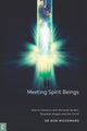 Book cover of: Meeting Spirit Beings. By: Bob Woodward
