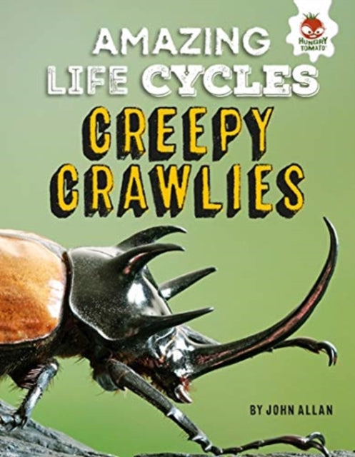 Book cover of: Amazing Life Cycles-Minibeasts