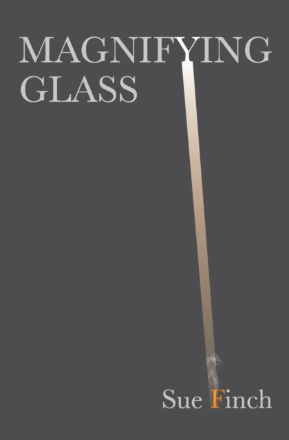 Book cover of: Magnifying Glass. By: Sue Finch