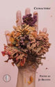Book cover of: Climacteric. By: Jo Bratten