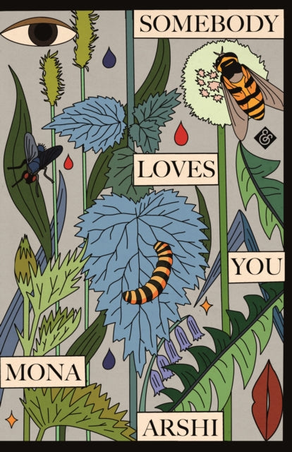Book cover of: Somebody Loves You. By: Mona Arshi