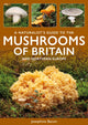 Book cover of: Naturalist's Guide to the Mushrooms of Britain and Northern Europe