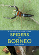 Book cover of: Naturalist's Guide to the Spiders of Borneo