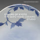 Book cover of: Colors of Kyoto. By: Shinya Maezaki