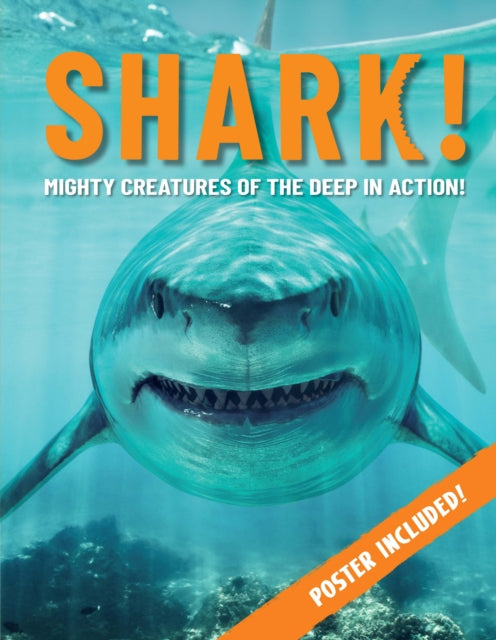 Book cover of: Shark!. By: Paul Mason