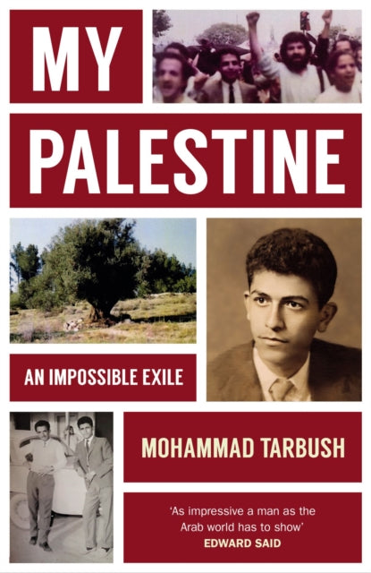 Book cover of: My Palestine