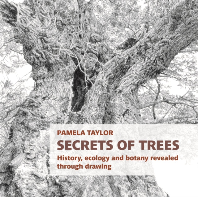 Book cover of: Secrets of Trees