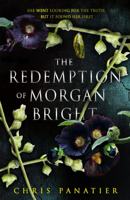 Book cover of: Redemption of Morgan Bright. By: Chris Panatier