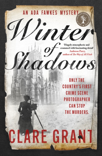 Book cover of: Winter of Shadows