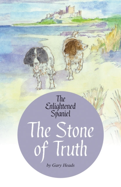 Book cover of: Stone of Truth. By: Gary Heads