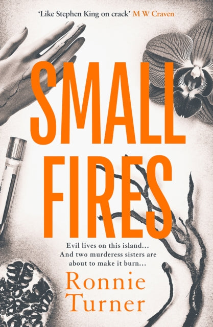 Book cover of: Small Fires