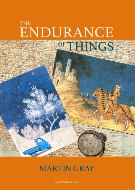 Book cover of: Endurance of Things