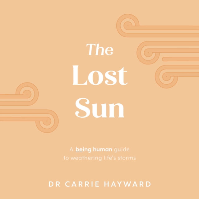 Book cover of: Lost Sun. By: Carrie Hayward