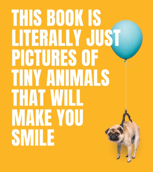 This Book Is Literally Just Pictures of Tiny Animals That Will Make You Smile 9781922754578 Smith Street Books