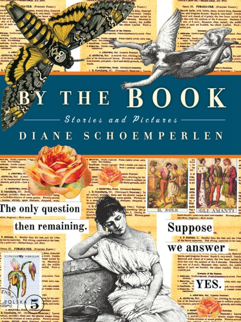 Book cover of: By The Book. By: Diane Schoemperlen