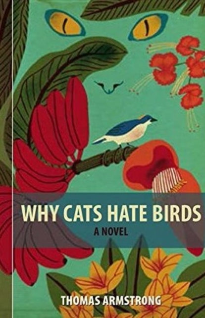 Book cover of: Why Cats Hate Birds. By: Tom Armstrong