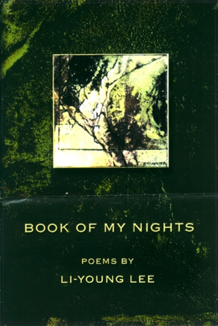 Book cover of: Book of My Nights