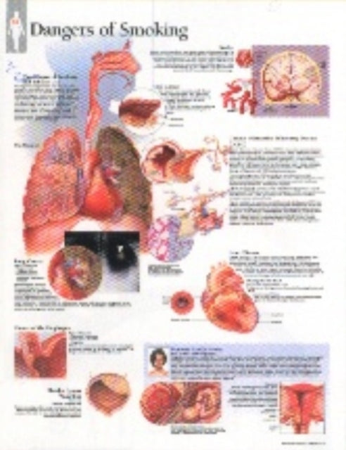 Book cover of: Effects of Smoking Paper Poster. By: Scientific Publishing