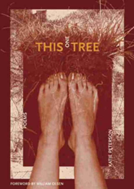 Book cover of: This One Tree. By: Katie Peterson