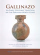 Book cover of: Gallinazo. By: Jean-François Millaire