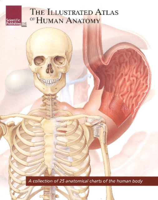 Book cover of: Illustrated Atlas of Human Anatomy. By: Scientific Publishing