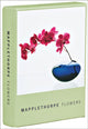 Book cover of: Mapplethorpe Flowers Notecard Box