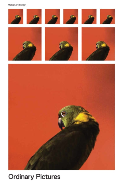Book cover of: Ordinary Pictures. By: Lane Relyea