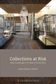 Book cover of: Collections at Risk. By: Luc Delvaux